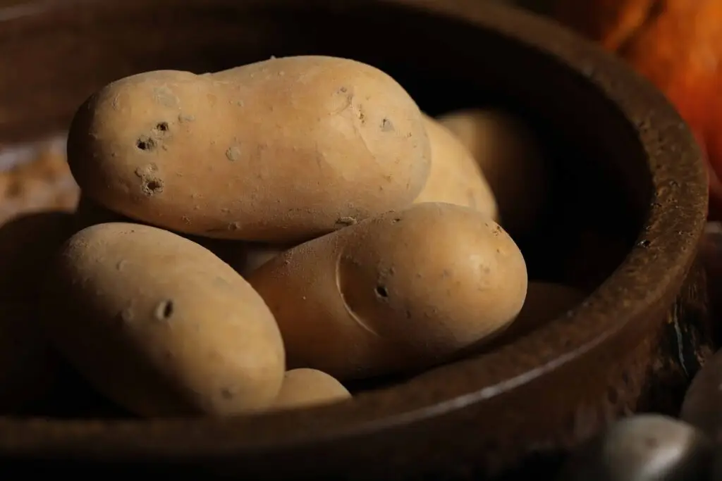 FoodCircle - Kartoffeln aus der Region