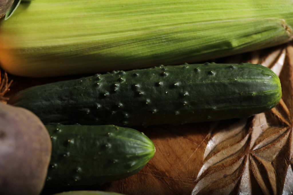 FoodCircle - Frische Gurken aus der Region - mit Gemüse im Korb