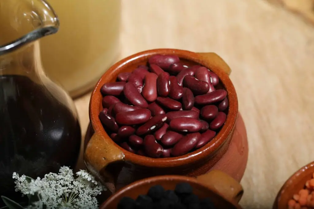 FoodCircle - Kidneybohnen im Topf