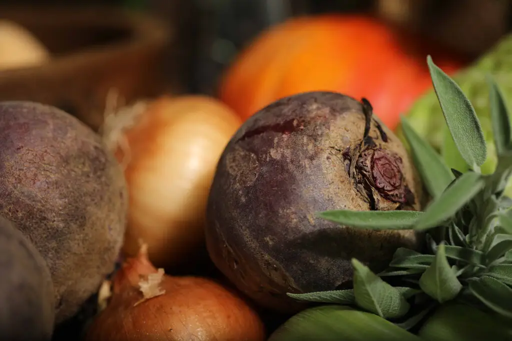 FoodCircle - Rote Beete im Gemüsekorb