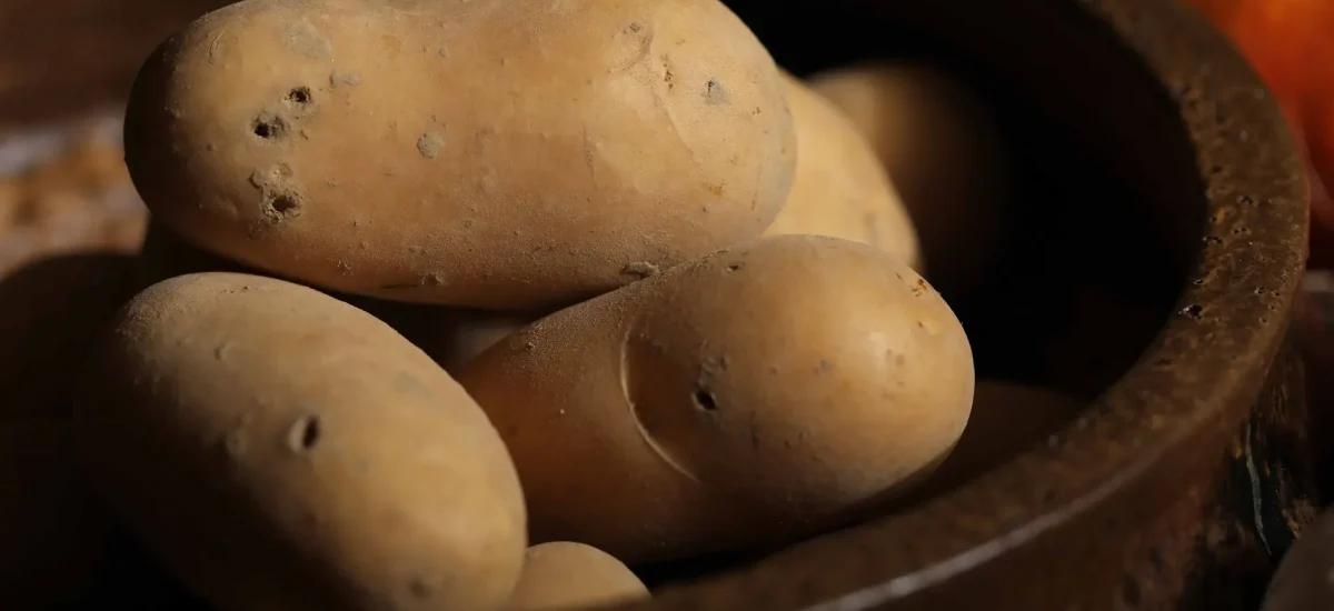 FoodCircle - Kartoffeln aus der Region